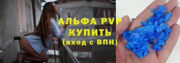 СК Абинск