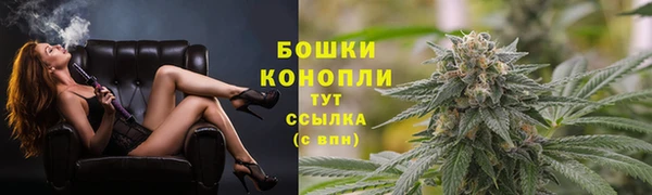 СК Абинск