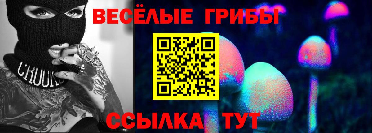 Псилоцибиновые грибы Psilocybe  Вход с VPN  Ханты-Мансийск 